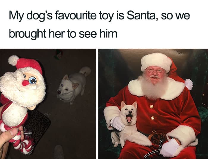 dog and santa christmas memes