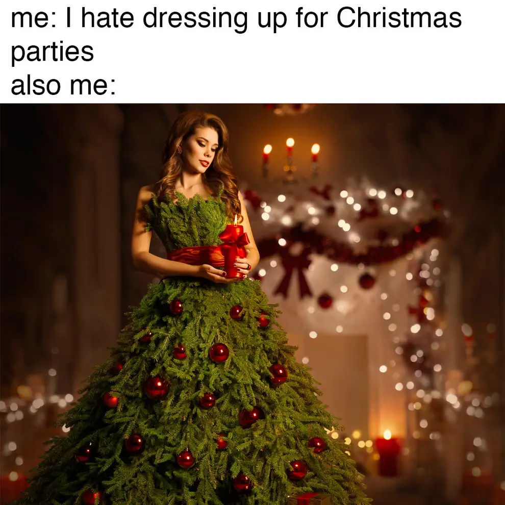 funny christmas memes evergreen dress