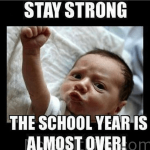 Back to school memes for teachers and parents