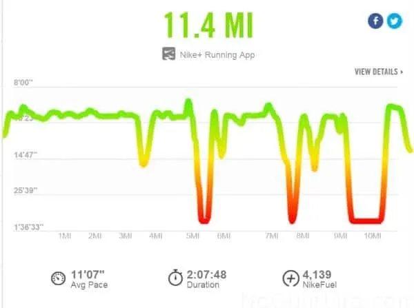 HI-larious. I've never covered THAT many miles in THAT pace. Nike had jokes. 