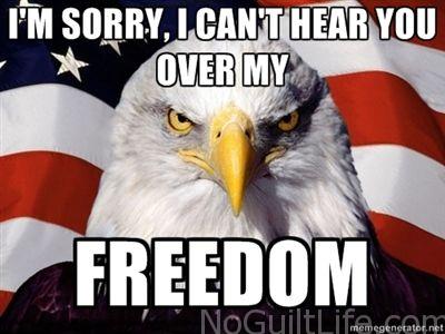 My fellow Americans: freedom is in the air. Can you smell it? Oh, that might be the burgers or the fireworks. Ha. Here are some funny 4th of July memes to get you in the patriotic mood. Happy 4th of July! 