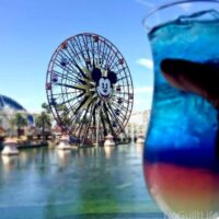 A trip to Disneyland should include trying out something new. My Disneyland food bucket list had some new things crossed off recently: Lobster Nachos and the Fun Wheel at the Cove Bar. Special shout out to Mickey shaped beignets and the Mint Julip!