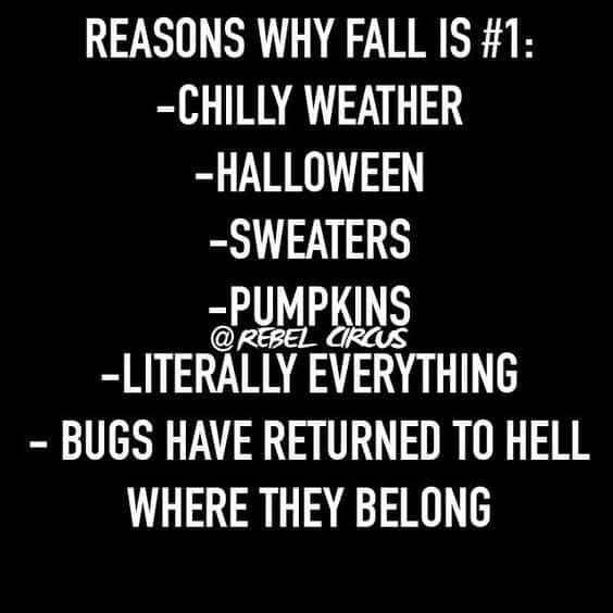 Fall Memes. Happy fall, y'all! The days are getting shorter, the temps are falling and so are the leaves. With Halloween and Thanksgiving around the corner: it's FALL! Santa Pumpkins October