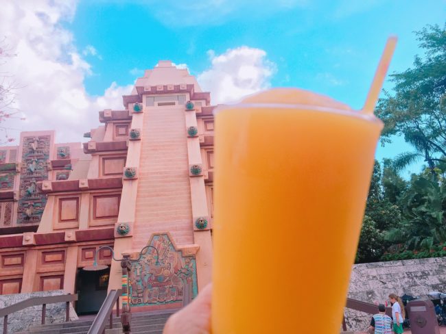 Image result for mexico pavilion epcot drinks