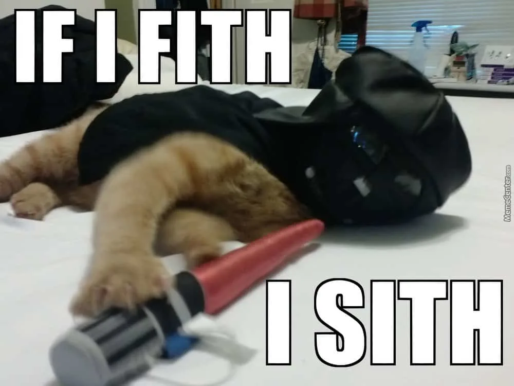 cat meme revenge of the fifth