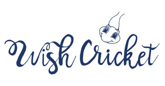 wish cricket logo
