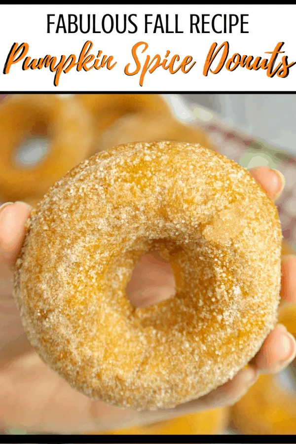 The best pumpkin spice donut recipe! These donuts are the perfect companion for your pumpkin spice latte drinking this fall. #pumpkinspicelatte #pumpkinspicedonuts #donuts #donutrecipe #recipe #food #fall #PSL 