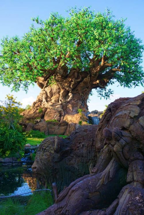 Tree of Life Animal Kingdom. movies to watch before going to Disney World in 2023.
