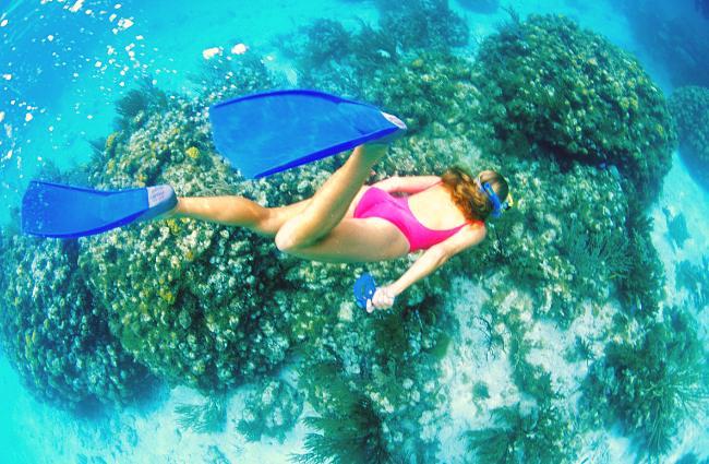 save money in Hawaii with low cost activities like snorkeling