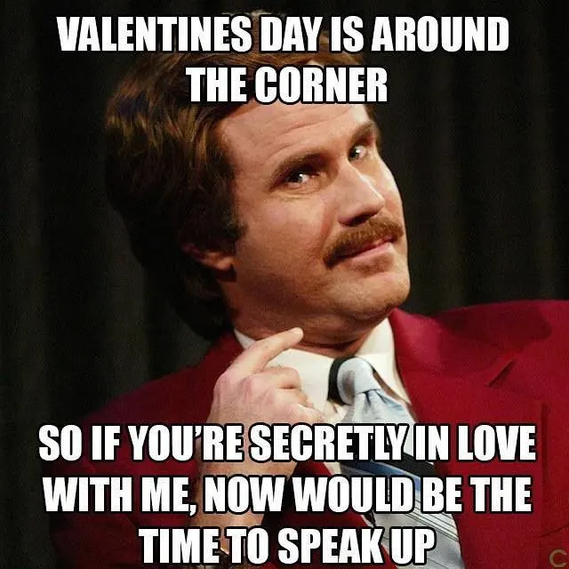 anchor man valentines day meme. funny valentines day memes