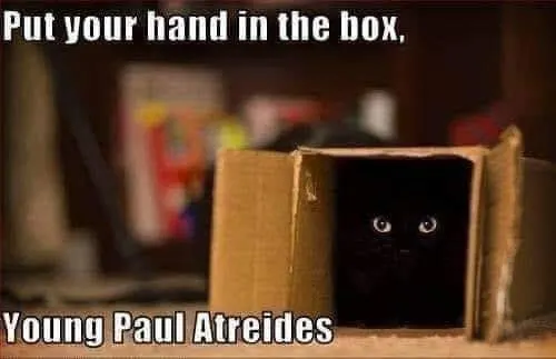 cat box dune memes