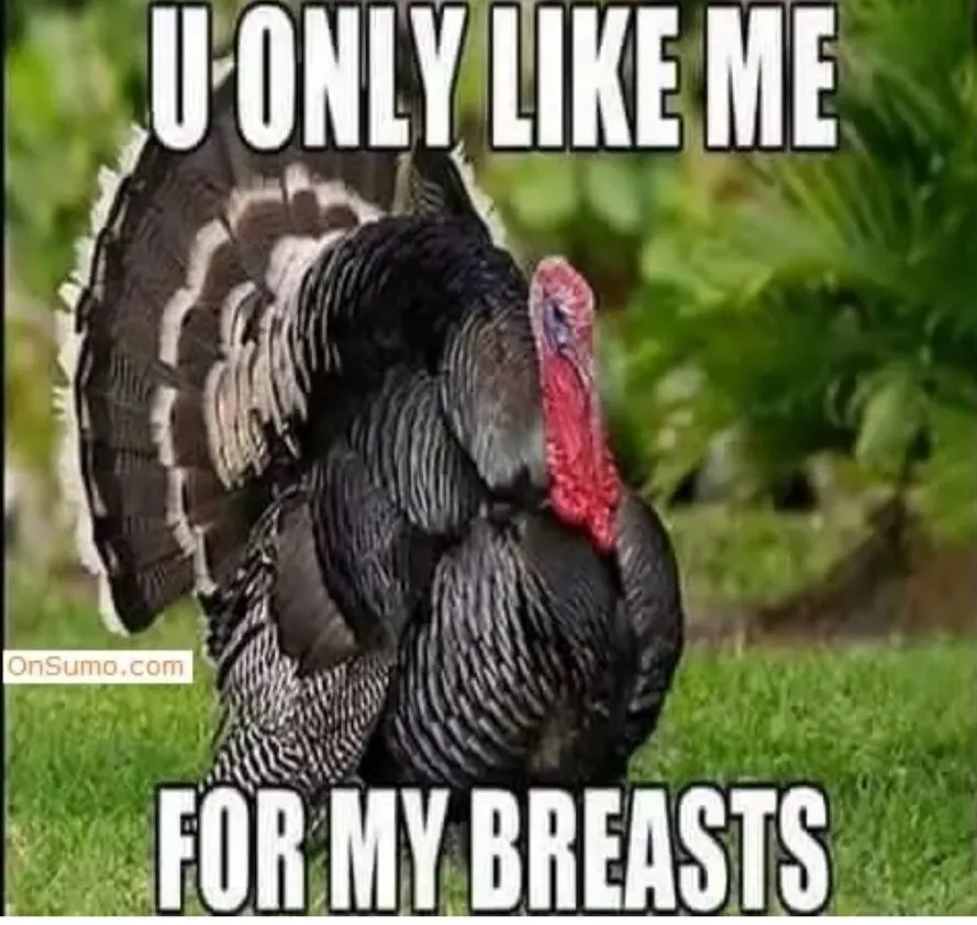 turkey breasts. funny thanksgiving day memes for 2022