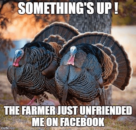 Thanksgiving memes. Thanksgiving dinner memes.