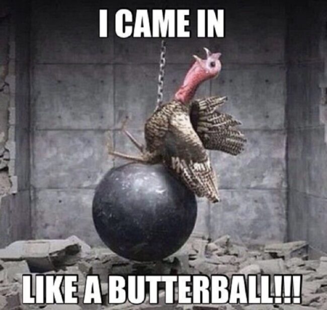 thanksgiving memes butterball