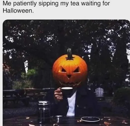 funny halloween pumpkin memes. sipping  tea while wearing a pumpkin head.