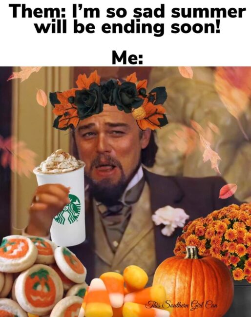leo funny halloween memes