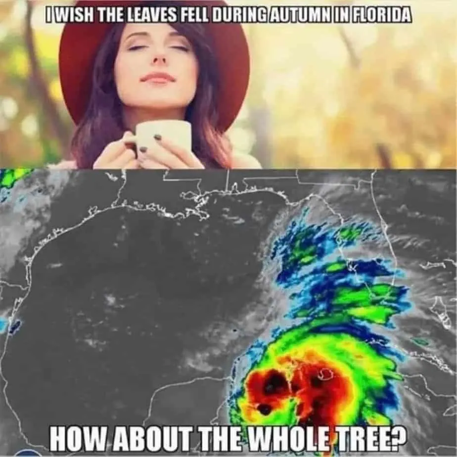 funny fall memes hurricane in florida