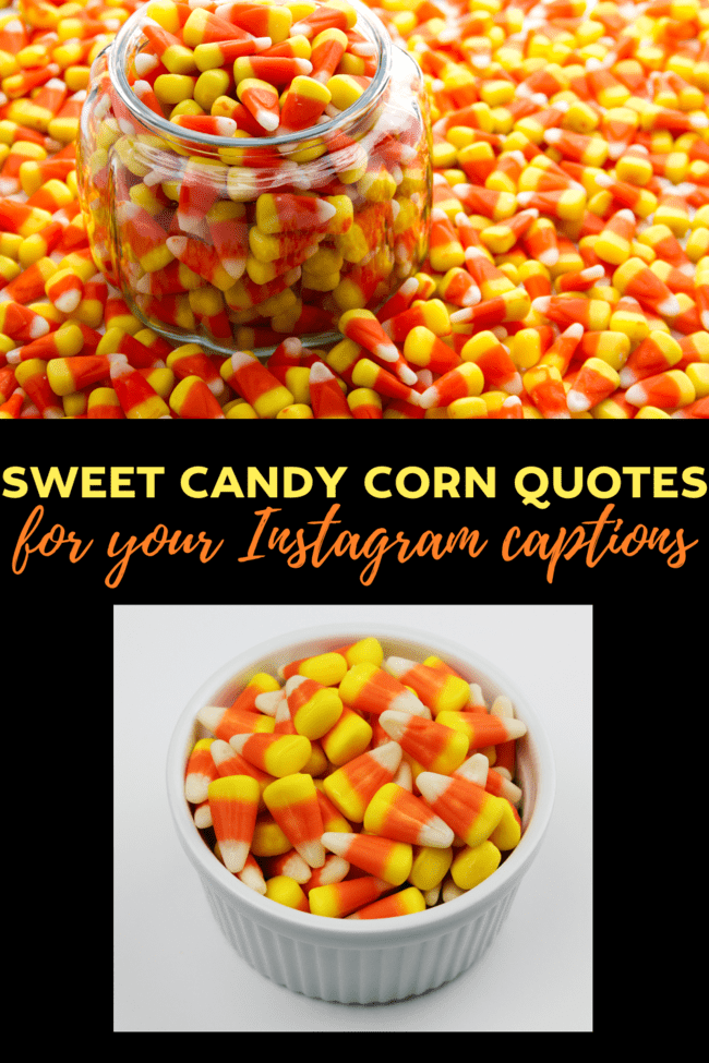 Sweet Candy Corn Quotes. Candy sayings for the Halloween Holiday treat! 