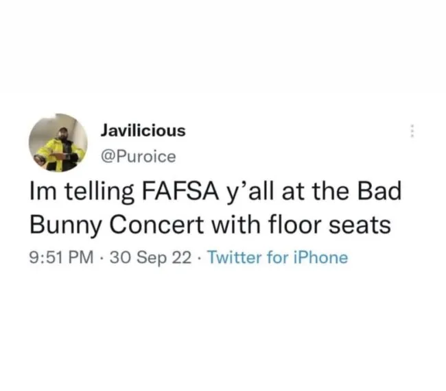 bad bunny fafsa memes
