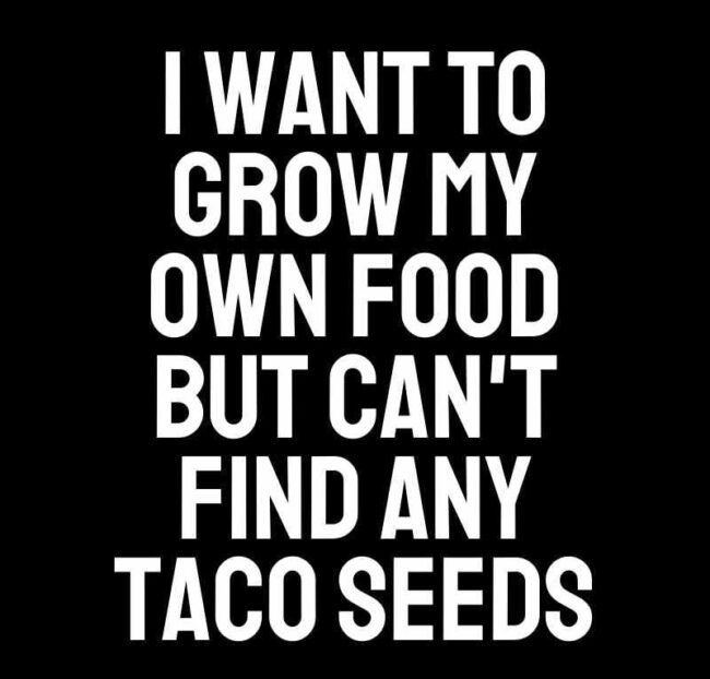 taco memes for national taco day. cant find taco seeds.