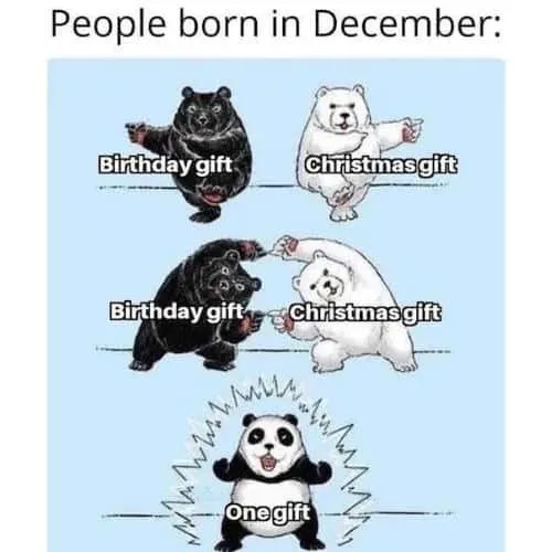funny christmas birthday meme panda