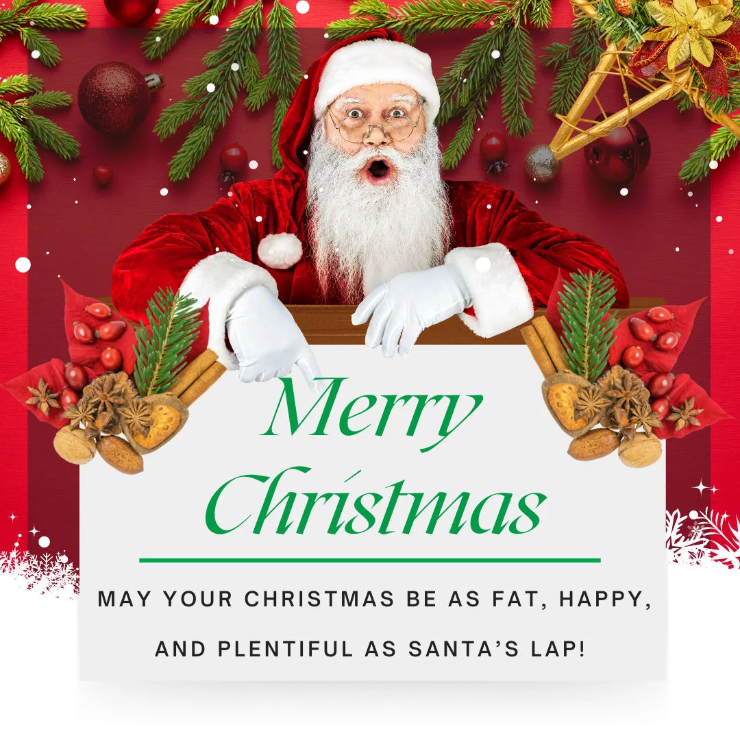 Funny Christmas Wishes For Your Holiday Card (2022)