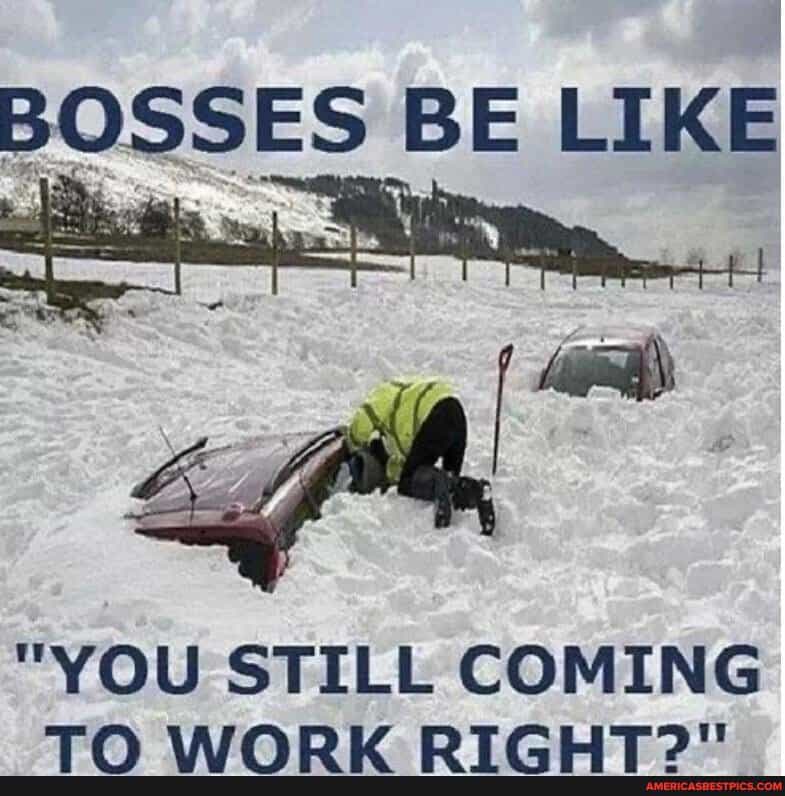 Brrrr! Funny Snow Memes For The Winter