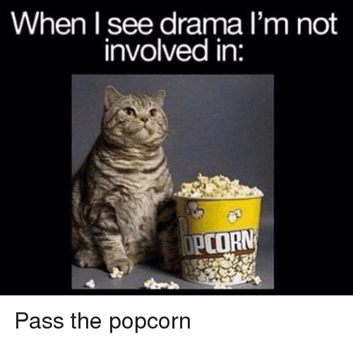 cat popcorn memes