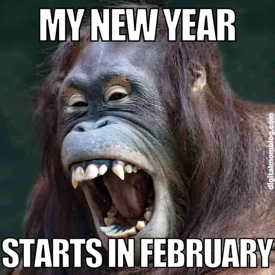 February Memes: Celebrating That It's Not January