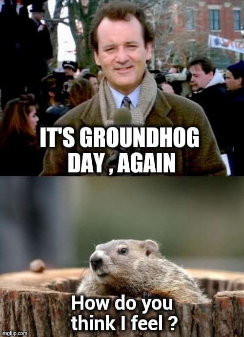 groundhog day meme funny