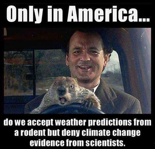 Hilarious Groundhog Day Memes To Get You Through 6 More Weeks Of Winter