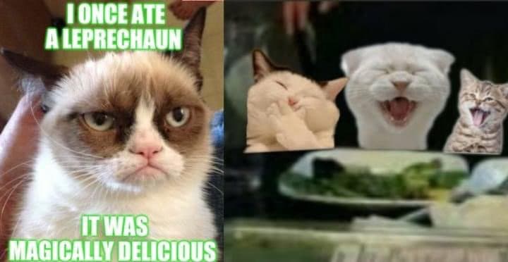 st patricks day memes grumpy cat