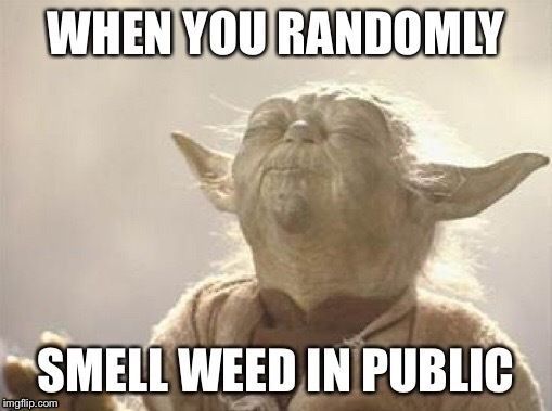 weed memes 420 yoda