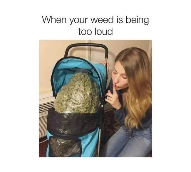 weed-memes-too-loud