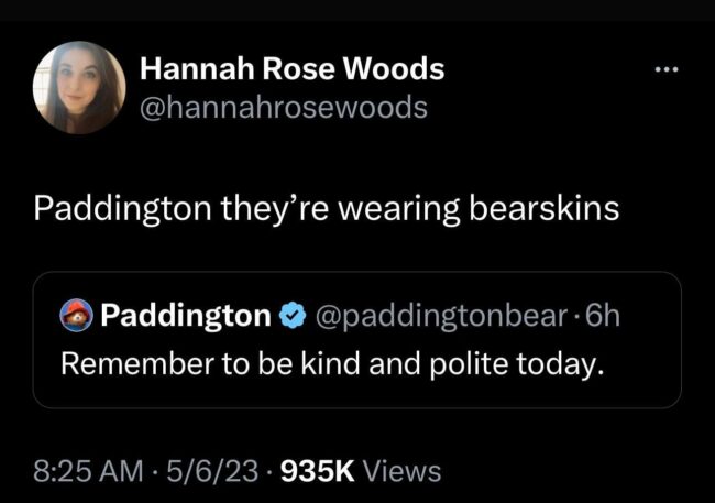 king charles coronation day memes: Paddington they're wearing bear skins